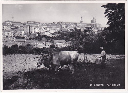 Loreto ancona panorama - loreto,