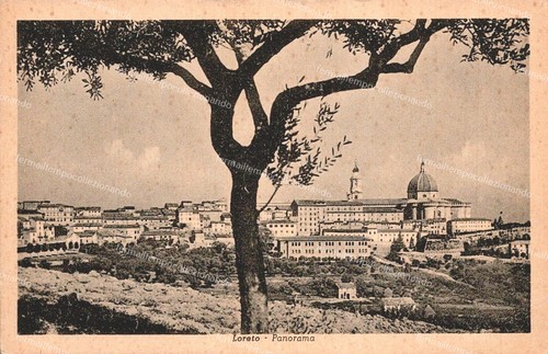 Df741 cartolina - df741,